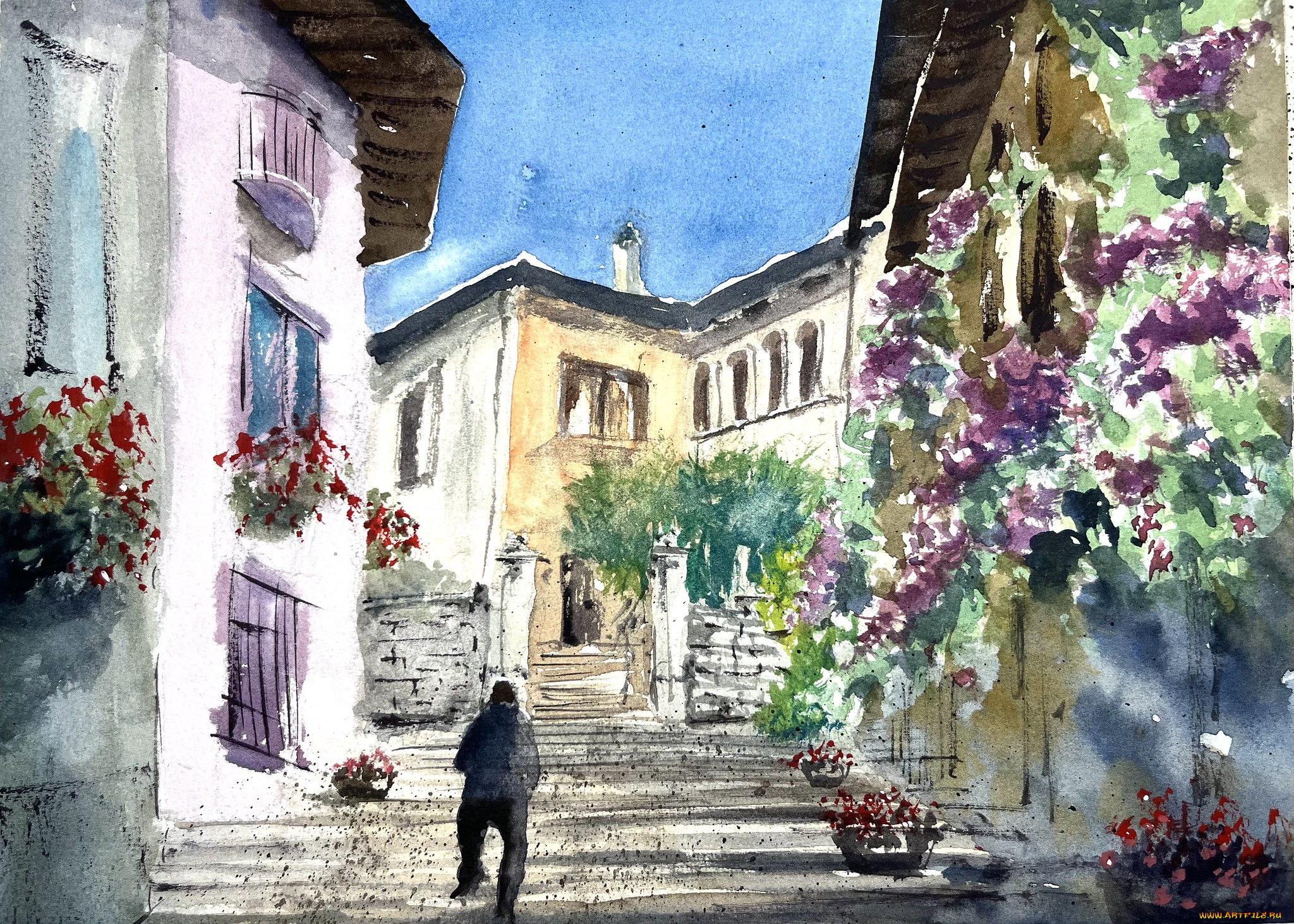 ����������, ��������, ��������